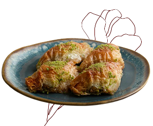 chicken pie