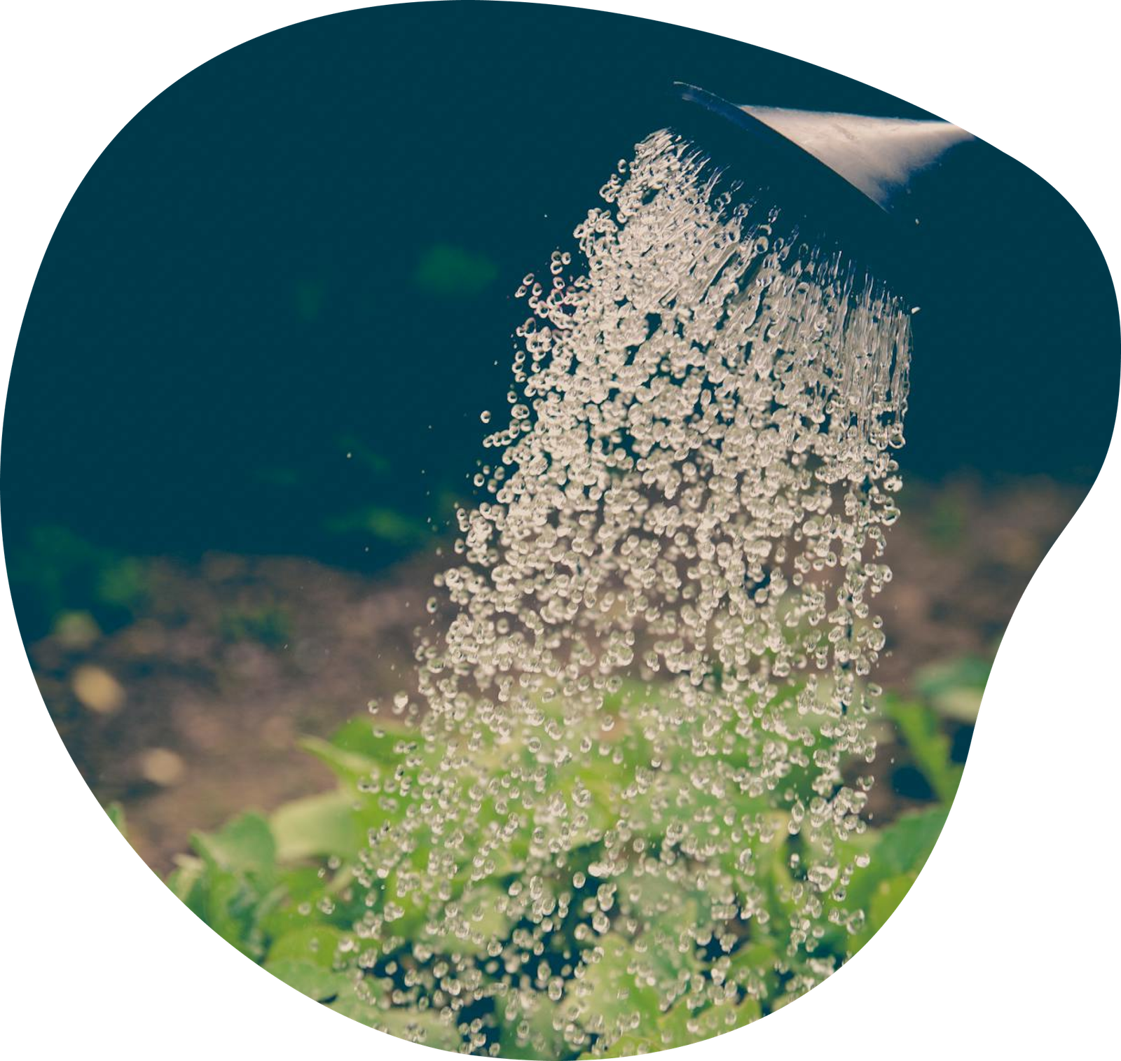 Pour Water
